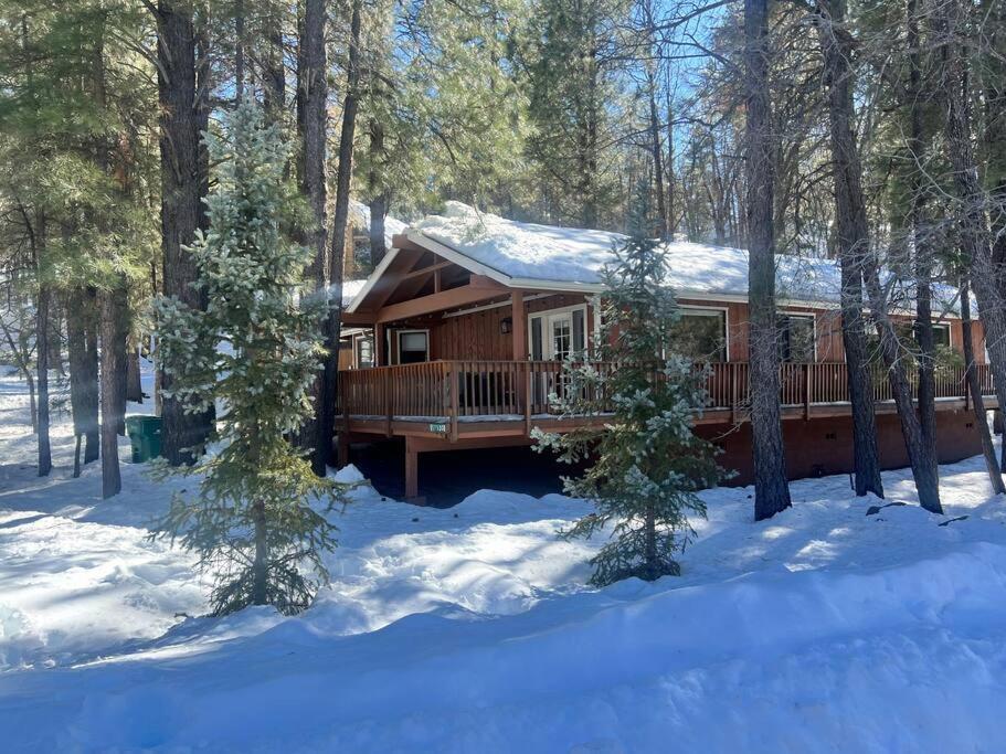 The Bluejay Cabin At Munds Park, Az! Sedona Buitenkant foto
