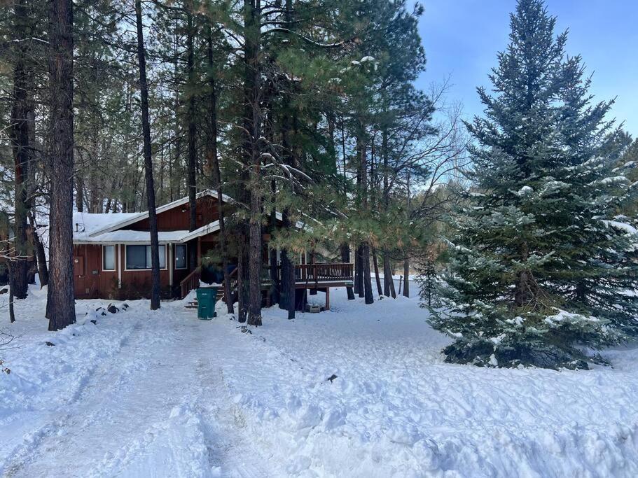 The Bluejay Cabin At Munds Park, Az! Sedona Buitenkant foto